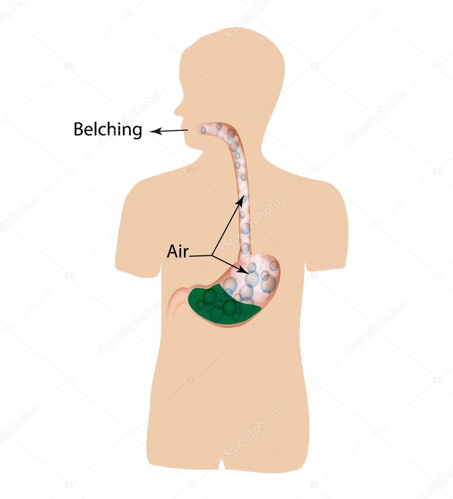 Illustration de Des cris. De l'air dans l'estomac. La structure de l