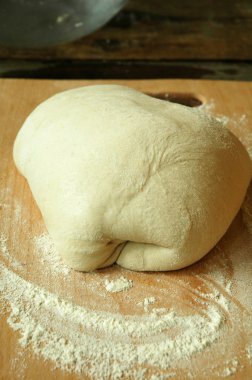 ekmek hamur mayaları