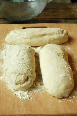 ekmek hamur mayaları