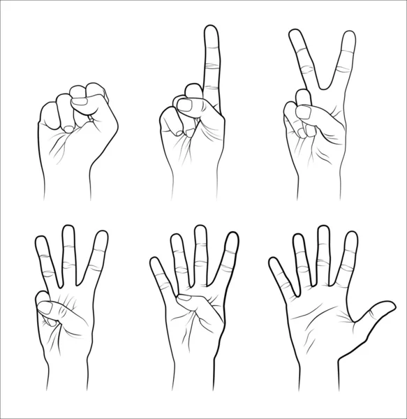 Hands line art set — Stock Vector