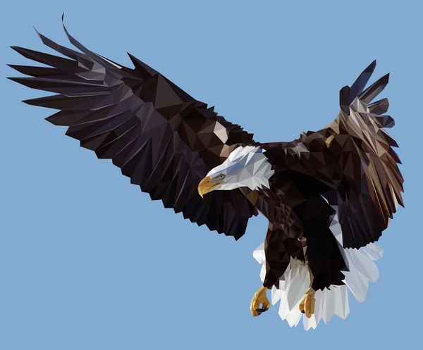 Condor vektör çizim