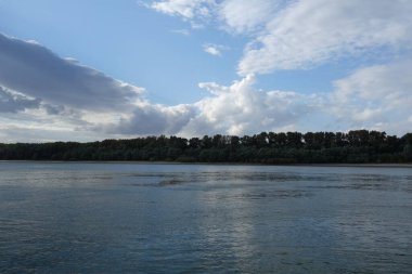 Romanya 'daki Tuna Nehri' nde sıradan günler. Söğütler, balıkçıların üzerindeki ince yaprakları sallıyor.