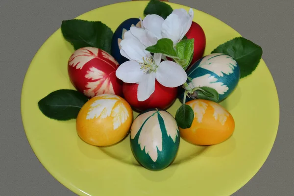 Привлекательная Тарелка Покрашенными Яйцами Яблочными Цветами Случаю Пасхальных Праздников Стилизованном — стоковое фото