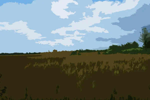 Естественная Картина Начала Лета Пшеничными Полями Маковыми Реками Цветы Июня — стоковое фото