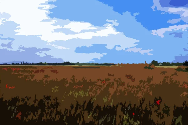 Естественная Картина Начала Лета Пшеничными Полями Маковыми Реками Цветы Июня — стоковое фото