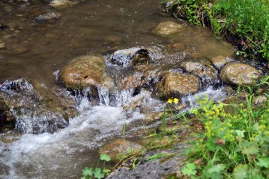 Yaz aylarında Ciuca dağlarının eteklerinde. Turistler bir dağ deresinin kıyısında bir rota seçerler. Bu yaz birlikte Romanya 'ya gidelim. 