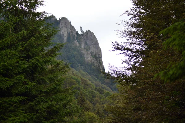 Ciuca Montañas Los Cárpatos Orientales Con Alturas Medias Hasta 1954 — Foto de Stock