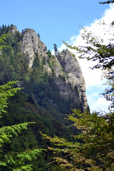 Ciuca Montañas Los Cárpatos Orientales Con Alturas Medias Hasta 1954 —  Fotos de Stock