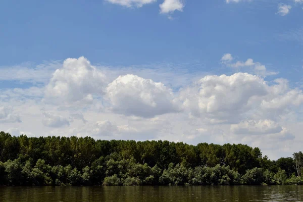 Danubio Sue Pittoresche Isole Qui Vegetazione Prato Sulle Rive Dell — Foto Stock