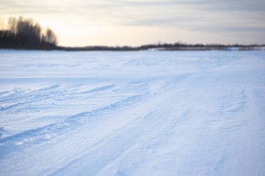 Manzara. Sibirya 'da karlı bir arazi. Soğuk doğa. kış