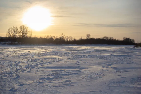 Escenario Campo Nevado Siberia Naturaleza Fría Invierno — Foto de Stock