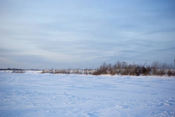 Escenario Campo Nevado Siberia Naturaleza Fría Invierno — Foto de Stock