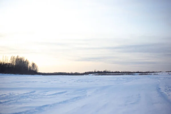 Paesaggio Campo Innevato Siberia Natura Fredda Inverno — Foto Stock