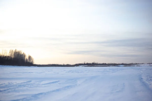 Escenario Campo Nevado Siberia Naturaleza Fría Invierno — Foto de Stock