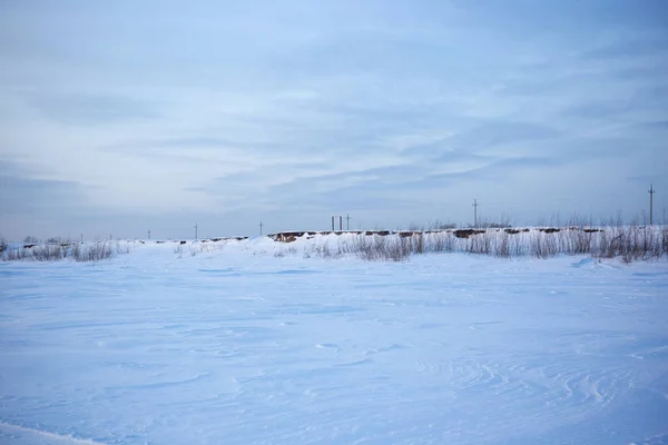 Paesaggio Campo Innevato Siberia Natura Fredda Inverno — Foto Stock