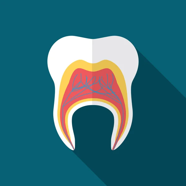 Illustration vectorielle moderne de conception plate de l'icône de la dent avec une ombre longue — Image vectorielle