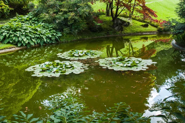 Bellagio cidade no Lago de Como, Itália. Região da Lombardia. Marco famoso italiano, Villa Melzi Park. Jardim Botânico plantas e árvores — Fotografia de Stock