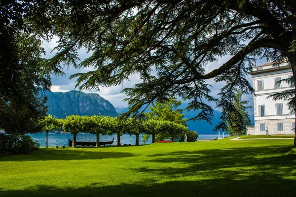 イタリアのコモ湖べラージオ市。ロンバルディア地方。イタリアの有名なランドマーク、ヴィラ Melzi 公園。植物園の植物や木. — ストック写真