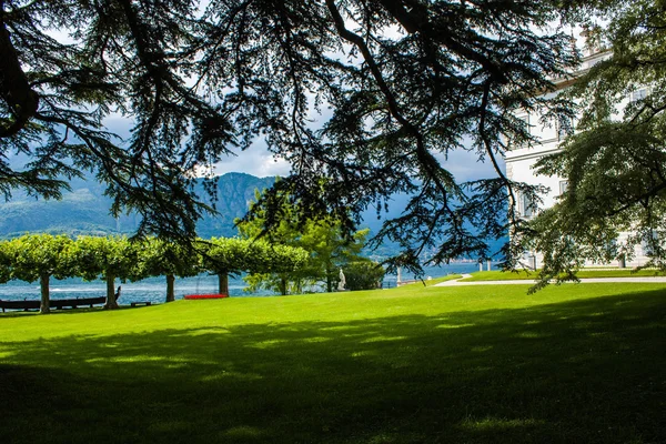 Bellagio ciudad en el Lago de Como, Italia. Región de Lombardía. Monumento famoso italiano, Villa Melzi Park. Jardín Botánico plantas y árboles . —  Fotos de Stock