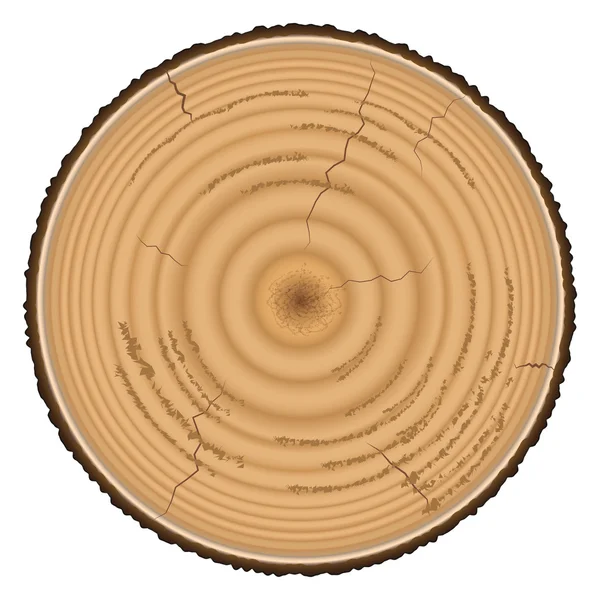 孤立在白色背景上的木材木材 — 图库矢量图片