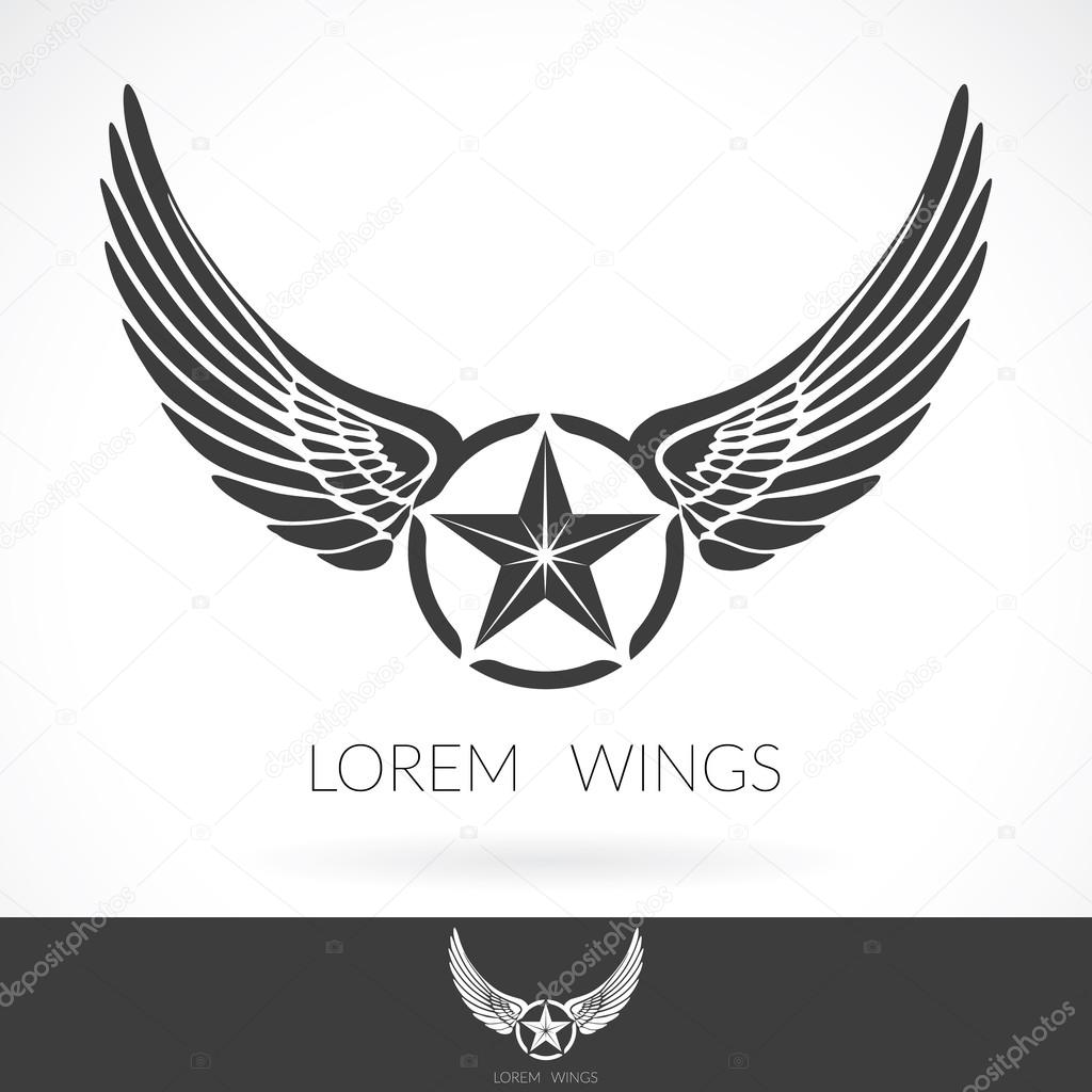 Wing abstract Logo template with star in the middle badge label,  emblem icon.