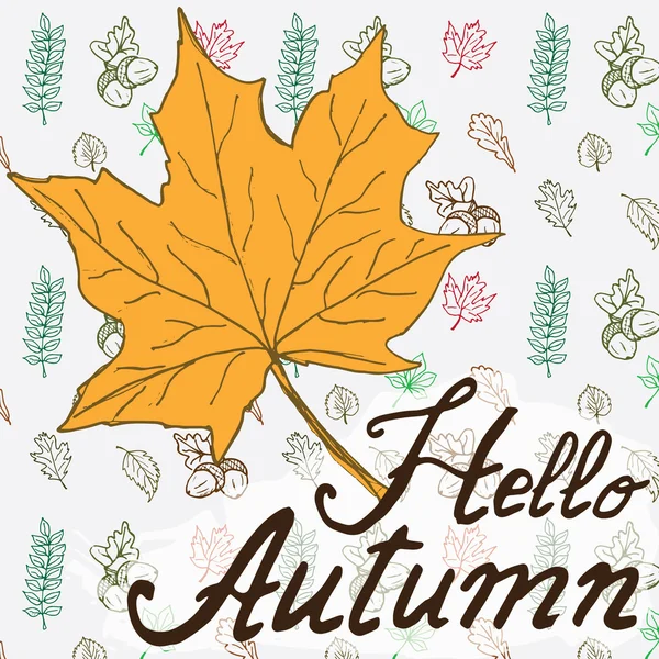 Hello autumn. Autumn season Vector Hand drawn background with autumn leaf and Lettering. Drawing doodle leevs collection — Stock Vector
