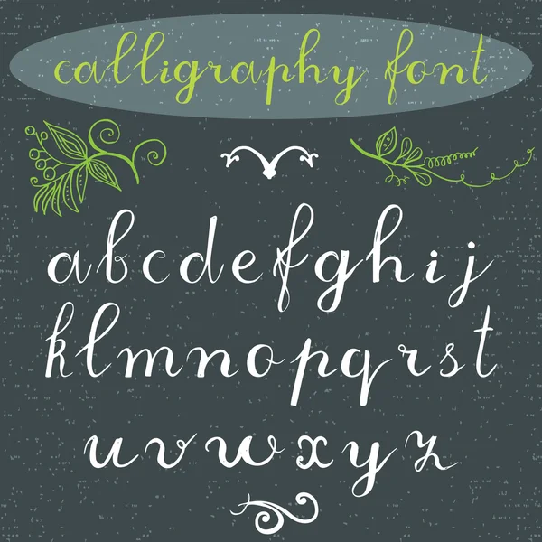Alphabet letters lowercase, hand drawn calligraphy font. Vector alphabet. Hand written letters of the alphabet and decoration elements on grungy background — Stock Vector