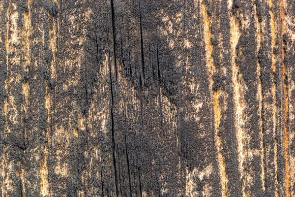 Hout Textuur Donkere Plank Tafel Met Lege Ruimte — Stockfoto