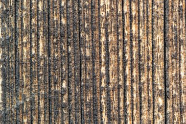 Ahşap doku. Boş alanı olan koyu renk tahta tablo