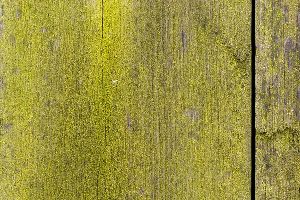 Mos Hout Mossig Bord Groene Natuurlijke Achtergrond — Stockfoto