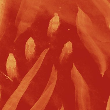 Doğa düzeni. Slate ve Brown Folk Posteri. Deniz şablonu. Gunmetal Zarif Süsleme. Robot resim çizimi. Monokrom Doğa Düzeni. Soyut Doğal Süs.