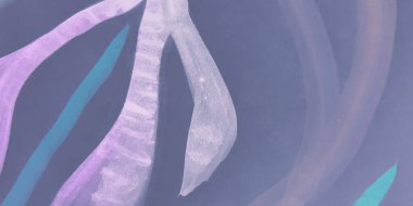 Dalga Düzeni. Magenta Moda Arkaplanı. İndigo Sanatsal Boya. Okyanus süslemesi. Violet ve Azure Donanma Mürekkebi. Dalga Düzeni. Soyut Asgari Davet.