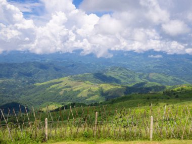 Tayland ve Myanmar 'ın Chiangrai ilindeki dağların manzaralı manzarası.