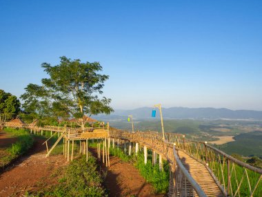 Bambu köprüsünün doğası böyle. Metin için alanı olan güzel doğa