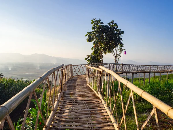 Bamboo bridge with nature background. Beautiful nature with space for text