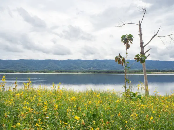 Beautiful Scenic View Landscape Lake Mountains Northern Thailand — Stock Photo, Image