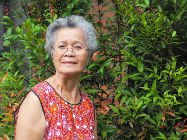 Mujer Asiática Mayor Con Pelo Blanco Corto Sonriendo Mirando Cámara —  Fotos de Stock