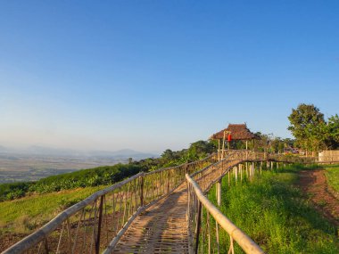 Bir dağdaki bambu köprüsünün manzaralı manzarası..