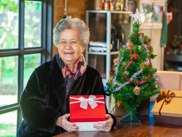 Kıdemli Asyalı kadın hediye kutusu tutuyor ve evde bir Noel ağacının yanında oturuyor. Yaşlılar ve festival anlayışı.