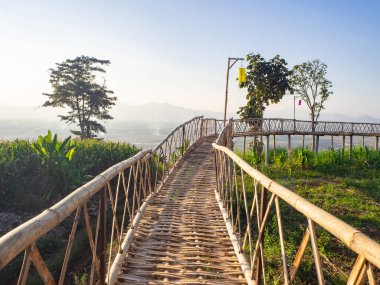 Gökyüzü ve dağ zeminli pirinç tarlalarının güzel manzarası. Tarım alanı. Mesaj için yer var. Doğa ve pirinç ekimi kavramı