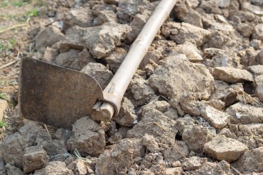 Kuru toprak ve çapa yakın çekim. Metin için boşluk.