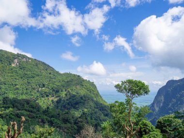 Kuzey Tayland 'daki dağların manzarası.