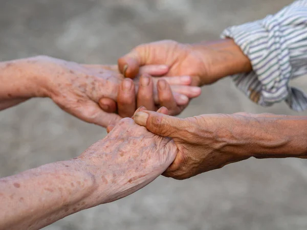 在老年妇女之间握手的特写 团结与伙伴关系概念 — 图库照片