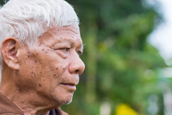 Close-up view side of face senior man looking away while standing in a garden.