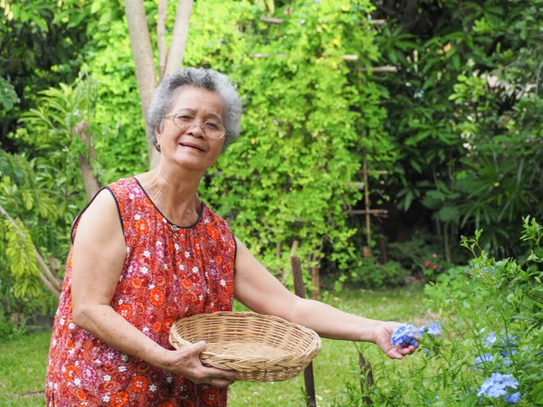 아시아 여인은 정원에서 미소를 지으며 바구니를 있었다 노인과 관리에 — 스톡 사진