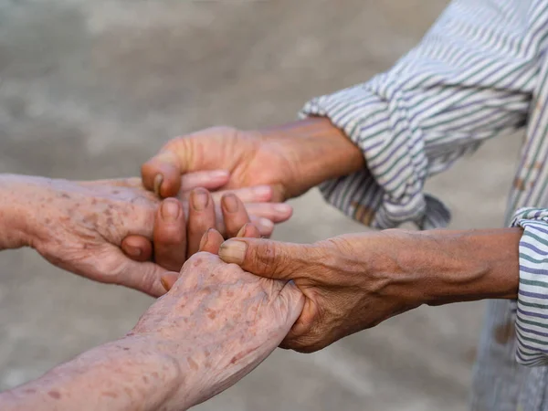 Close Handshake Senior Women While Standing Garden Concept Aged People — Stock Photo, Image