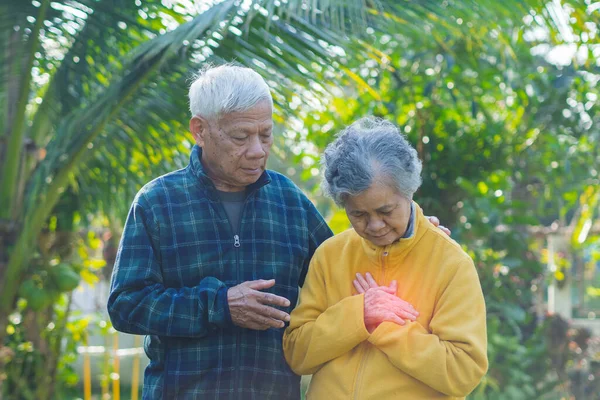 Пожилая Азиатка Страдает Боли Груди Муж Помогает Стоя Саду Концепция — стоковое фото