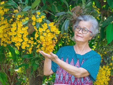 Bahçede sarı orkidelerle (Dendrobium lindleyi) dikilirken gülümseyen ve kameraya bakan yaşlı Asyalı bir kadının portresi. Yaşlılar ve sağlık hizmetleri kavramı.