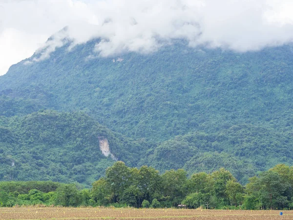 Vue Panoramique Champ Agricole Avec Fond Montagneux — Photo