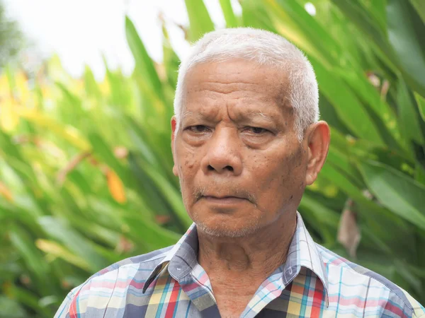 Retrato Anciano Asiático Sonriendo Mirando Cámara Mientras Estaba Pie Jardín — Foto de Stock